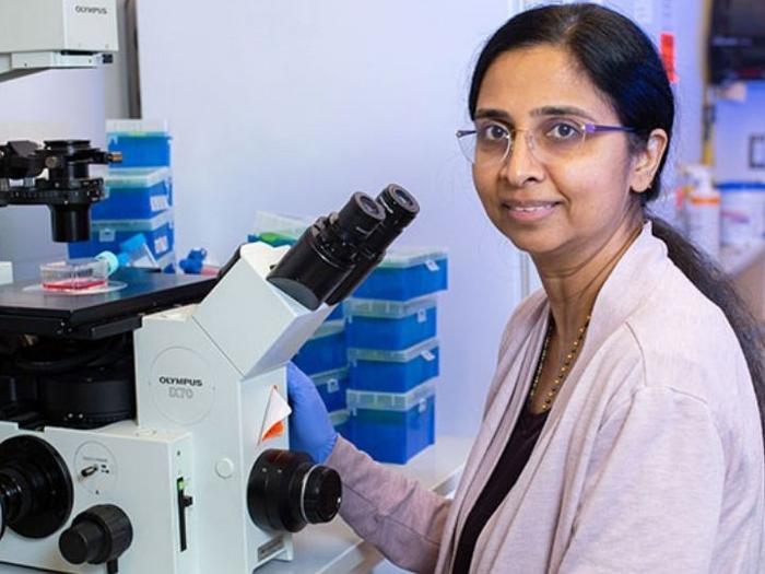 Meghana Trivedi, University of Houston professor of Pharmacy and Pharmacology