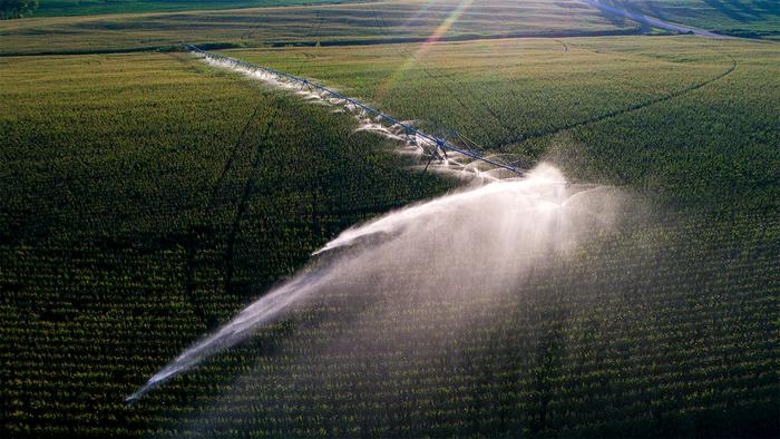 Irrigated field