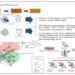 Figure 5. Graphical summary of the mechanisms underlying DTP generation.