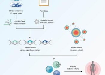 Cancer Dependency Map graphical abstract