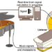 Experimental set-up