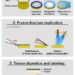 Flash and Freeze-fracture explained