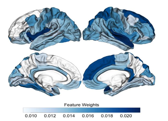 Important regions of the brain for classification.