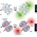 Subak - Nucleic acid detection graphic