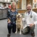 Researchers at Purdue University have developed a technique to better predict chemotherapy resistance in canines and humans