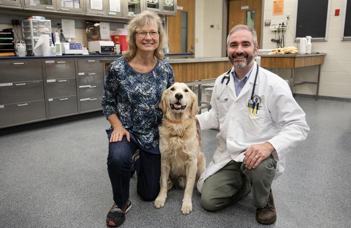 Researchers at Purdue University have developed a technique to better predict chemotherapy resistance in canines and humans