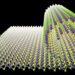 Janus nanosheets rolled into nanoscrolls.