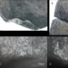 Traces left by tree-felling experiments on replica stone age tools.