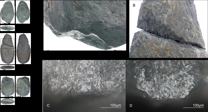 Traces left by tree-felling experiments on replica stone age tools.