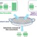 The solvent sieve method for high-performance PeLEDs