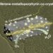 Fullerene-metalloporphyrin co-crystal for zinc-air batteries