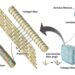 A diagram of  the hierarchical structure of the intervertebral disc