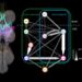 Fruit fly song circuit