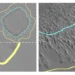 Tumor cells invading surrounding tissue under different mechanical conditions.