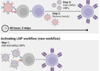Activating Lipid Nanoparticles (aLNPs)