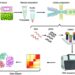 Fig. 1. Conceptual workflow of single-cell RNA-sequencing (scRNA-seq).