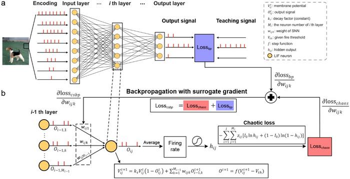 Brain-inspired chaotic spiking backpropagation