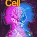 Cover of Cell’s issue on sex and gender