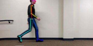 Example of Gait Video Tracking