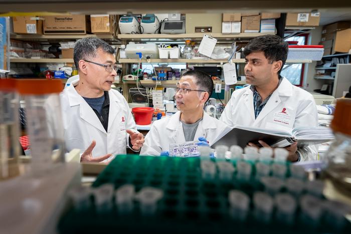 St. Jude research linked mesenchymal to adrenergic cell change mechanism in MYCN-linked neuroblastoma to high MYCN levels, driven by KDM4 induction