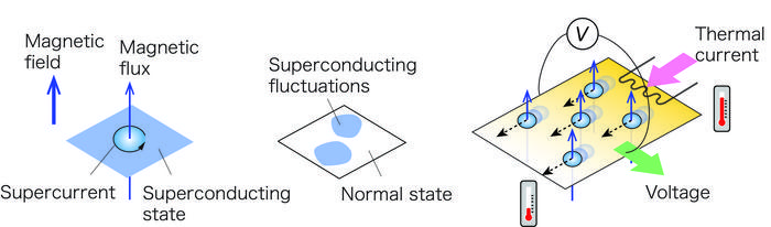 Discovery of a hidden quantum critical point in two-dimensional superconductors