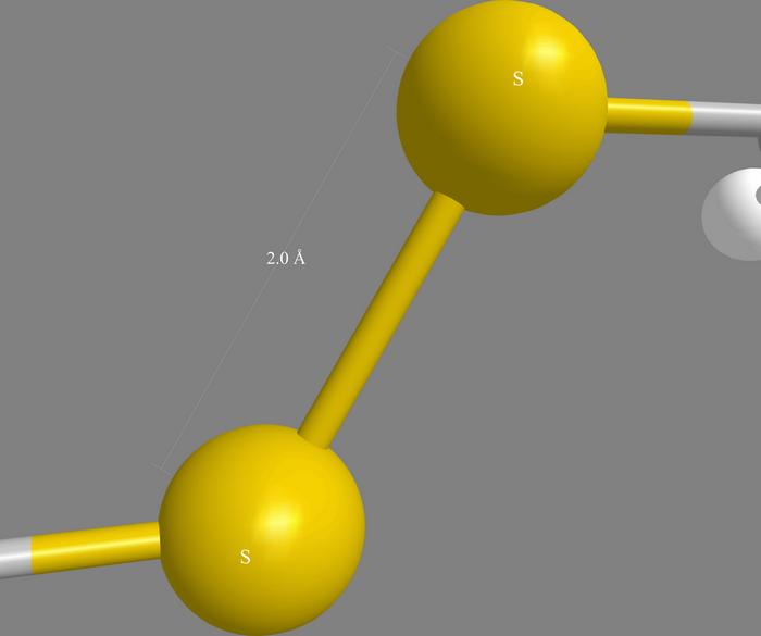 Disulfide bond common in protein structures