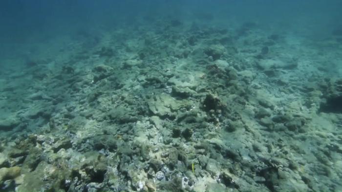 Late Holocene Pompano Ridge