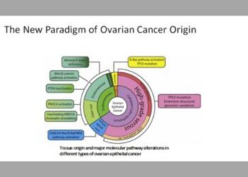 ovarian cancer lesions