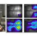 This newly developed modular mesoscope can be used for in vivo fluorescence imaging of rodent brains. It is versatile and can adjust to different experimental requirements while still providing exceptional neuroimaging performance.