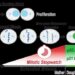 Cells can measure how long they spend in mitosis