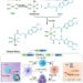 DNA destroyer and STING booster in one molecule