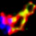 CRISPR Edits Homothorax Gene