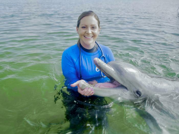 Researchers carry out first peer-reviewed study of fecal microbiota transplants in dolphins