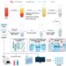 Schematic representation of the technical workflow for circulating nucleic acid enrichment in blood using MOF materials