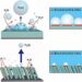 Diagram illustrating a three-dimensional nanorod catalytic electrode system based on nickel for accelerated release of hydrogen bubbles