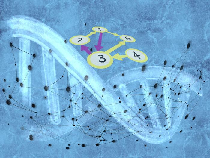 Do micronuclei activate cGAS-STING pathway or not?