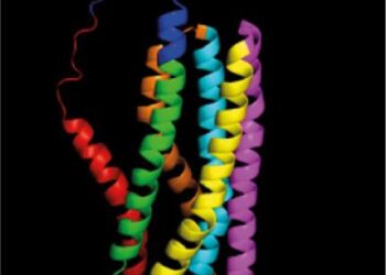 The folded structure of the precursor protein Ece1