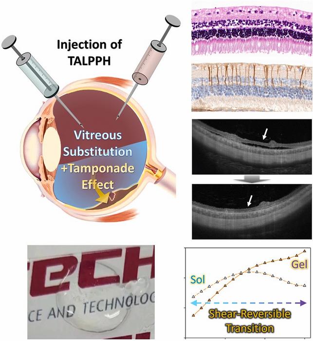 Treatment for blindness-causing retinal detachment using viscous seaweed