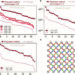 Classical simulation costs and Schrödinger-Feynman algorithm costs.