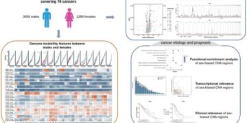 Identification and analysis of sex-biased copy number alterations