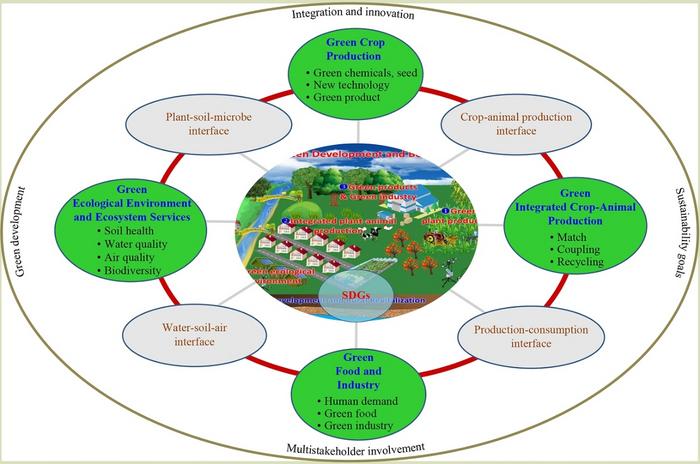 What progress has China made in agriculture green development over the past five years？