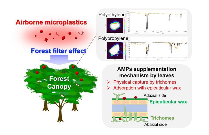 World’s first demonstration that forests trap airborne microplastics