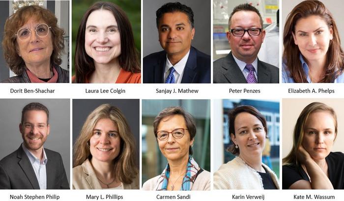 Brain & Behavior Research Foundation awards distinguished investigator grants valued at $1 million to 10 scientists pursuing innovative mental health research