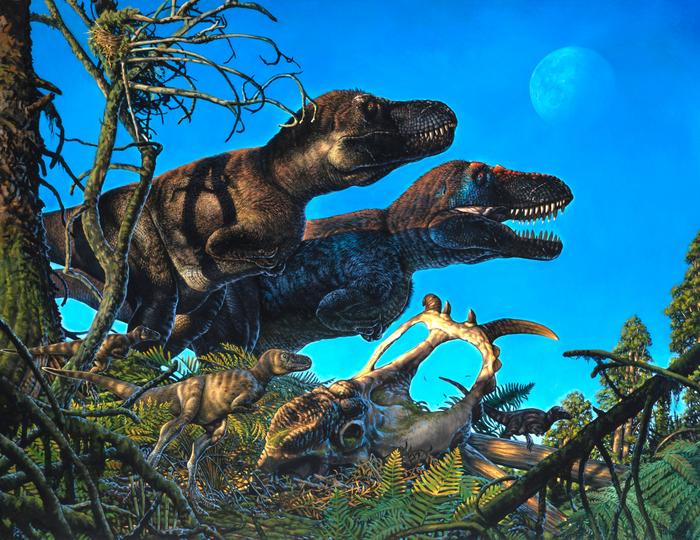 Dinosaur study challenges Bergmann’s rule