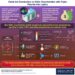 Oxide ion conduction in Sillén Oxychlorides with triple fluorite-like layers