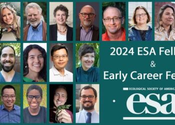 2024 Ecological Society of America Fellows and Early Career Fellows