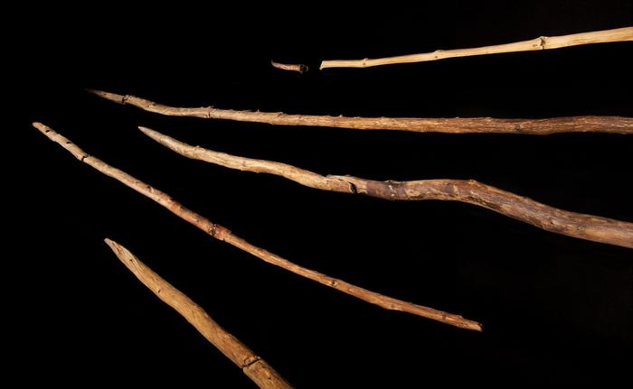 Finds at Schöningen show wood was crucial raw material 300,000 years ago