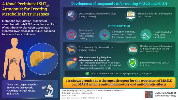 A novel peripheral 5HT2A antagonist for treating metabolic liver diseases