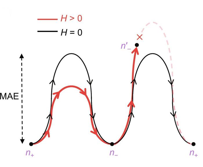 HKUST and Tsinghua researchers develop mechanism of electrical 180° switching of Néel vector