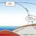 Global carbon cycle